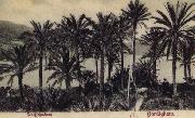 Pierre Renoir View of Bordighera:the Palms Postcard oil painting artist